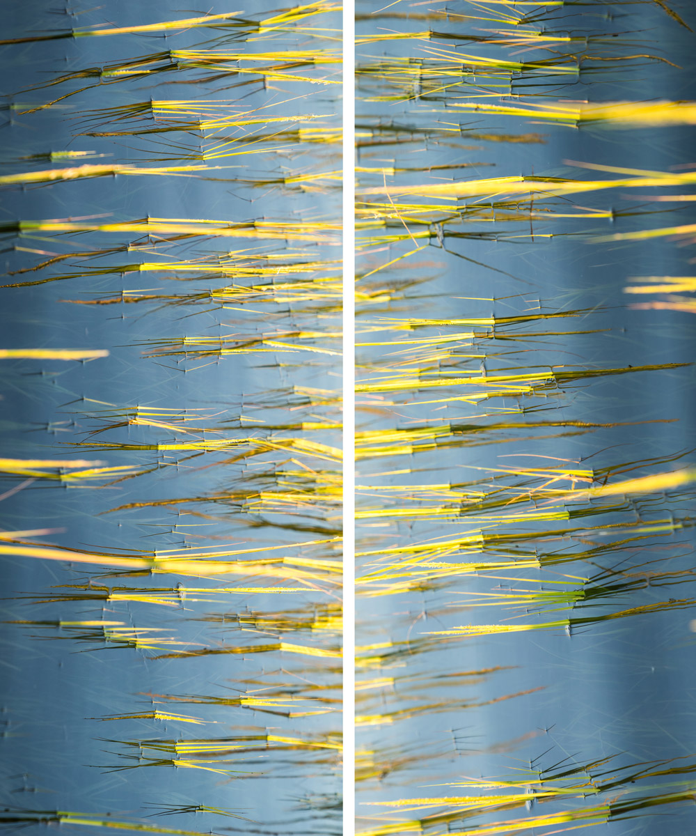 Sunbeams of Unrecorded Time Diptych
60" x 48"